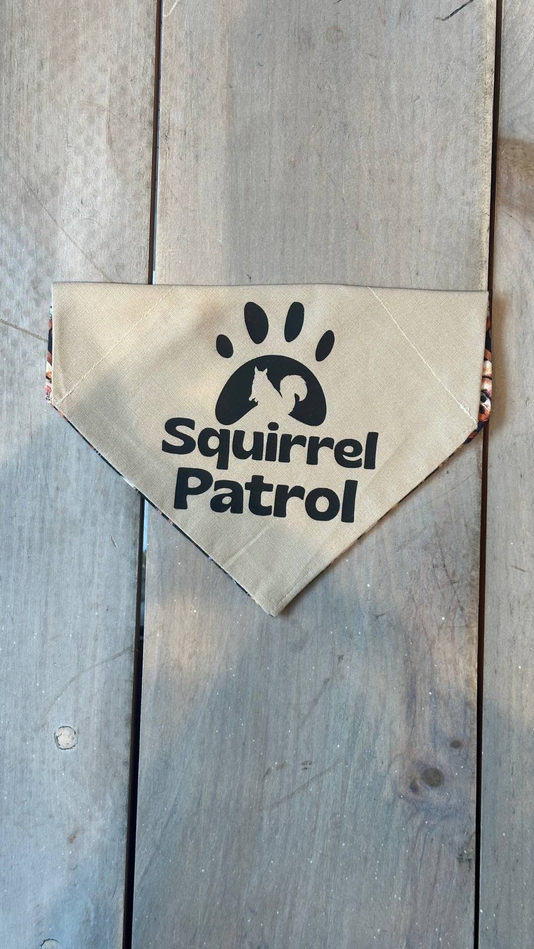 Squirrel Patrol on Beige