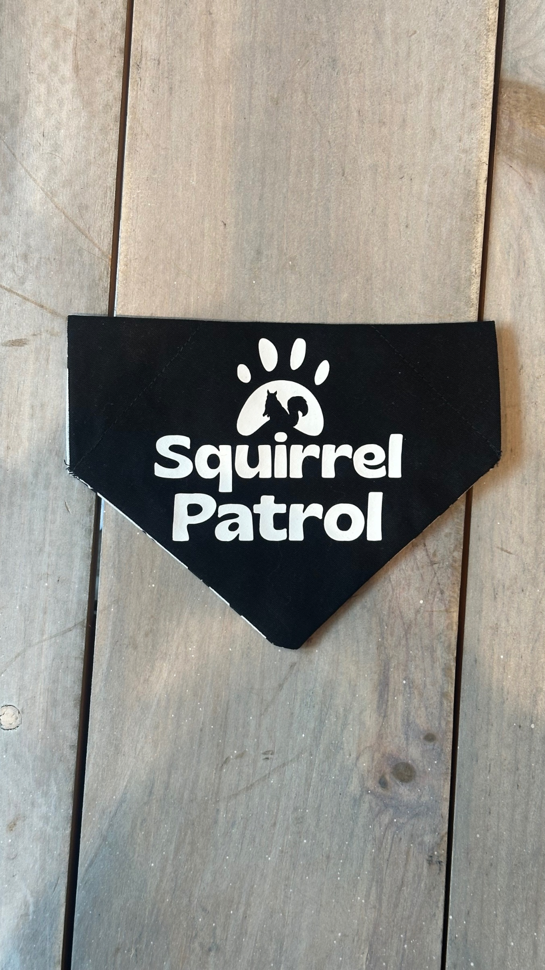 Squirrel Patrol on Black