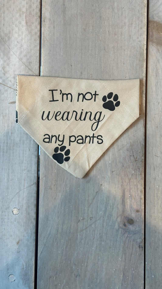 I’m Not Wearing Any Pants