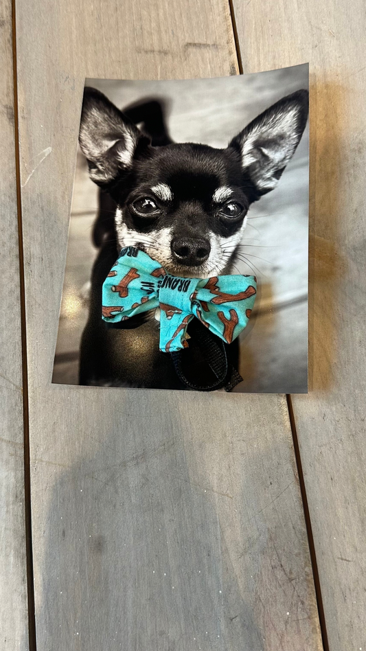 Blue Branch Manager Bow Tie -  fits over the collar
